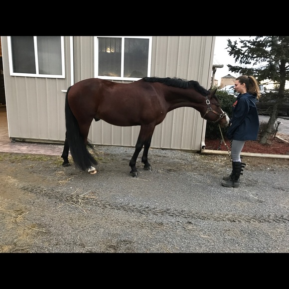 Meet your Posher, Liz - Picture 1 of 1